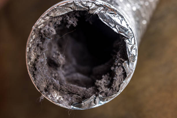 Best Local Air Duct Cleaning Services  in Lebanon, IN